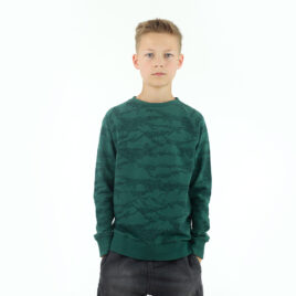 Clouds SYAS WI 2020 bistro groen French terry